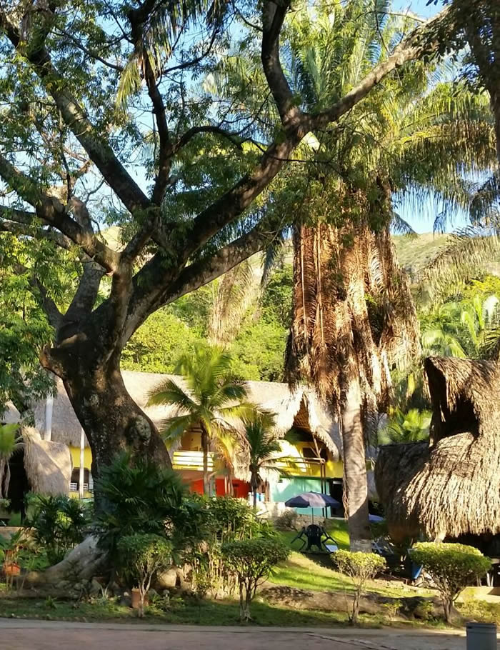 Ecohotel El Reposo – Destacada (4)