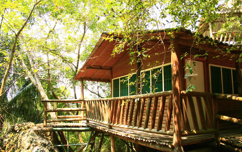 Ecohotel El Reposo – Galeria Home (6)