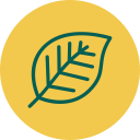 hoja