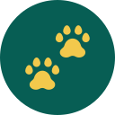 huellas-de-garras (1)